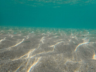 Fototapeta premium ray, underwater, light, sunlight, sea, blue, water, ocean, sun, surface, background, sun light, deep, under, rays, bright, mediterranean sea, marine, ripple, abstract, nature, aqua, wave, clear.
