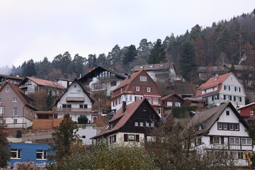 Blick in die Altstadt von Alpirsbach im Schwarzwald