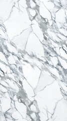 Elegant marble surface exhibiting intricate gray and white veining patterns.