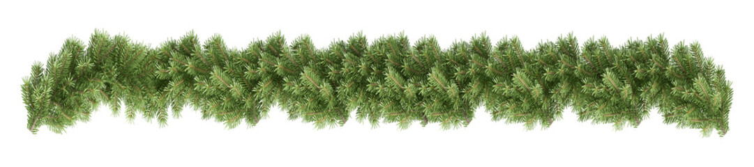 Obraz premium green grass isolated on white background