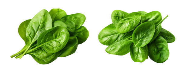 Fototapeta premium Spinach leaves. Fresh spinach leaves isolated on white.