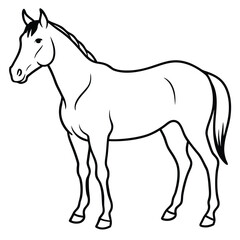 Free Vector Horse hand drawn vector design 