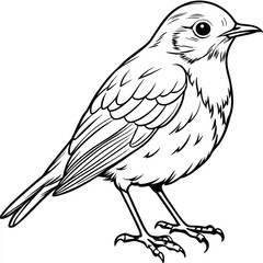 Fototapeta premium Free vector Hand drawn bird outline illustration 