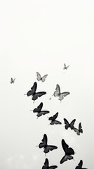 Fototapeta premium Fluttering butterflies monochrome animal flying.
