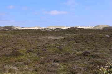 Blick auf die Küstenlandschaft am sogenannten Ellenbogen der Insel Sylt bei List