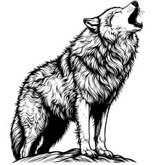 Echoes of the Wild The Howling Wolf, Moonlit Melodies The Wolf's Howl, Cry of the Night: The Mysterious Howl of the Wolf, Wilderness Symphony: The Haunting Howl of the Wolf lineart isolated on white.