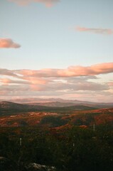 View from the top of the mountain with forest on the Adriatic sea at a beautiful bright sunset 