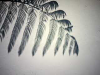 icicles on black background