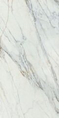 New Diana Marble Texture Background. Natural Diana Marble Texture Used For Interior Exterior Home Decor And Ceramic Slab Tiles And Flooring Tiles And Wallpaper Decorative Architecture Glossy Slab tile