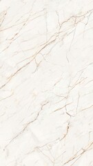 New Diana Marble Texture Background. Natural Diana Marble Texture Used For Interior Exterior Home Decor And Ceramic Slab Tiles And Flooring Tiles And Wallpaper Decorative Architecture Glossy Slab tile