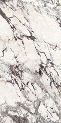 New Diana Marble Texture Background. Natural Diana Marble Texture Used For Interior Exterior Home Decor And Ceramic Slab Tiles And Flooring Tiles And Wallpaper Decorative Architecture Glossy Slab tile