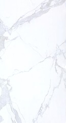Naklejka premium New Diana Marble Texture Background. Natural Diana Marble Texture Used For Interior Exterior Home Decor And Ceramic Slab Tiles And Flooring Tiles And Wallpaper Decorative Architecture Glossy Slab tile