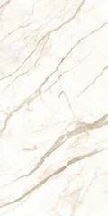 New Diana Marble Texture Background. Natural Diana Marble Texture Used For Interior Exterior Home Decor And Ceramic Slab Tiles And Flooring Tiles And Wallpaper Decorative Architecture Glossy Slab tile