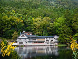 A scenic view of Kinrin Lake, framed by tree in Yufu, Oita Prefecture, Japan.