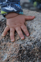 Baby's hand on rock