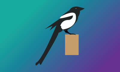Vector illustration of a magpie. 
