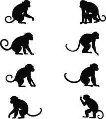 Unique Collection Of Monkey Silhouette