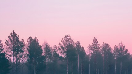 Panoramic view of tall trees against a pastel sky with a minimalist AI generated illustration