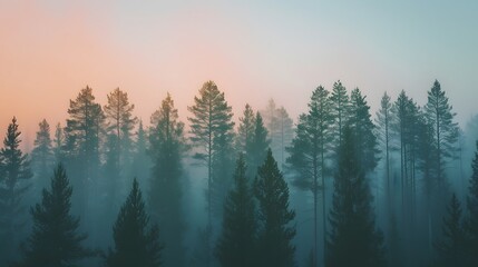 Obraz premium Panoramic view of tall trees against a pastel sky with a minimalist AI generated illustration