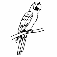 parrot on a branch