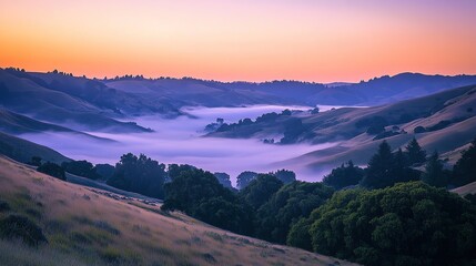 Obraz premium Foggy Valley at Sunrise with Soft Pastel Colors.