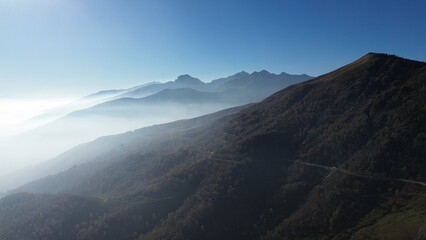 Fototapeta premium montañas misteriosas que abrazan el cielo con las nubes blancas. Los pinos son contrastes nuevos y únicos