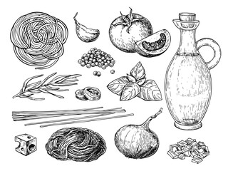 Pasta bolognese vector drawing. Traditional Italian pasta ingredients. Homemade food sketch