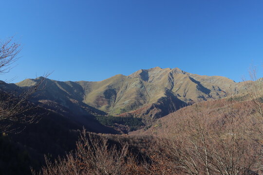 La monta&ntilde;a ense&ntilde;a a caminar, amar y contemplar los cambios de las estaciones. En este caso el color naranja abraza el oto&ntilde;o y el drone lo capta en video.