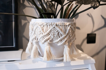 Flower pot with zamioculcas plant decorated with diy macrame standing on white piano