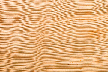 Background of dried palm frond, close up.