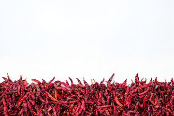 Naklejka premium Discover how dried red chilies enhance flavors in various cuisine types and add a unique spice to your cooking