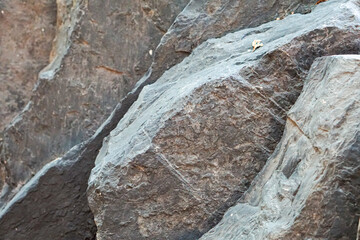 Close-up of rocks on the ground, arranged diagonally.