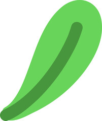 Green leaf for decorating Songkran festival