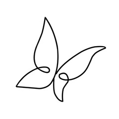 Hand drawn butterfly 