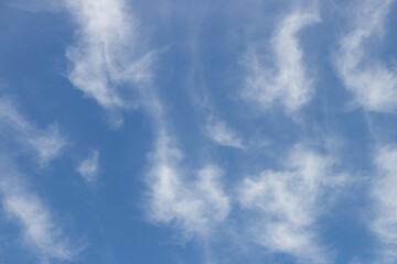 Fototapeta premium A serene blue sky adorned with soft, wispy clouds, perfect for conveying calmness and tranquility in any design project.