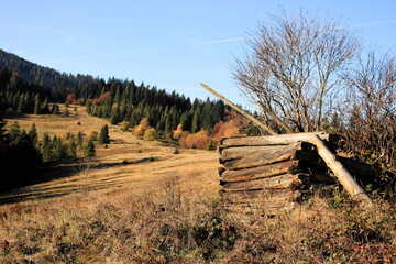 Jesień
