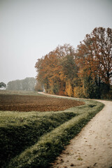 Naklejka premium Herbstlicher Feldweg mit buntem Laub und Nebel