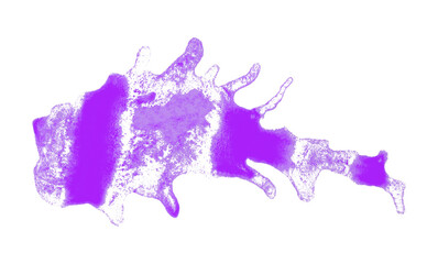 Purple splash stains on white background
