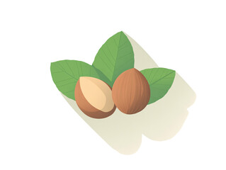a group of nuts with leaves