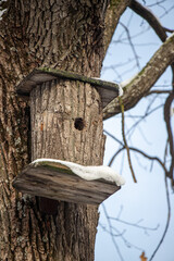 A birdhouse is on a tree branch covered in snow