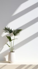Plant plant shadow white.
