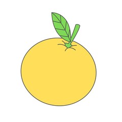 lemon illustration