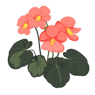 coral flowers with green leaves clip art preview