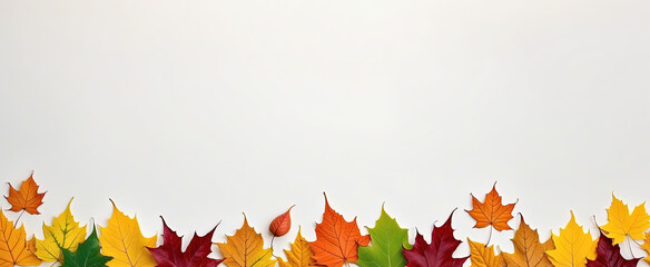 Autumn template background with vibrant color various leaves