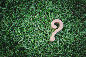 Wooden Question Mark Lying on Green Grass Representing Curiosity and Inquiry