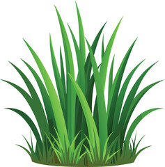 Obraz premium isolated grass no background free vector