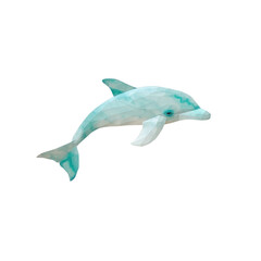 Dolphin illustration, white isolate background
