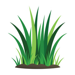 isolated grass no background free vector
