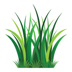 isolated grass no background free vector