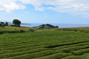 Azores - Sao miguel